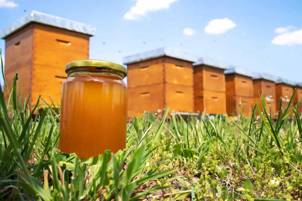 Beekeeping Equipment