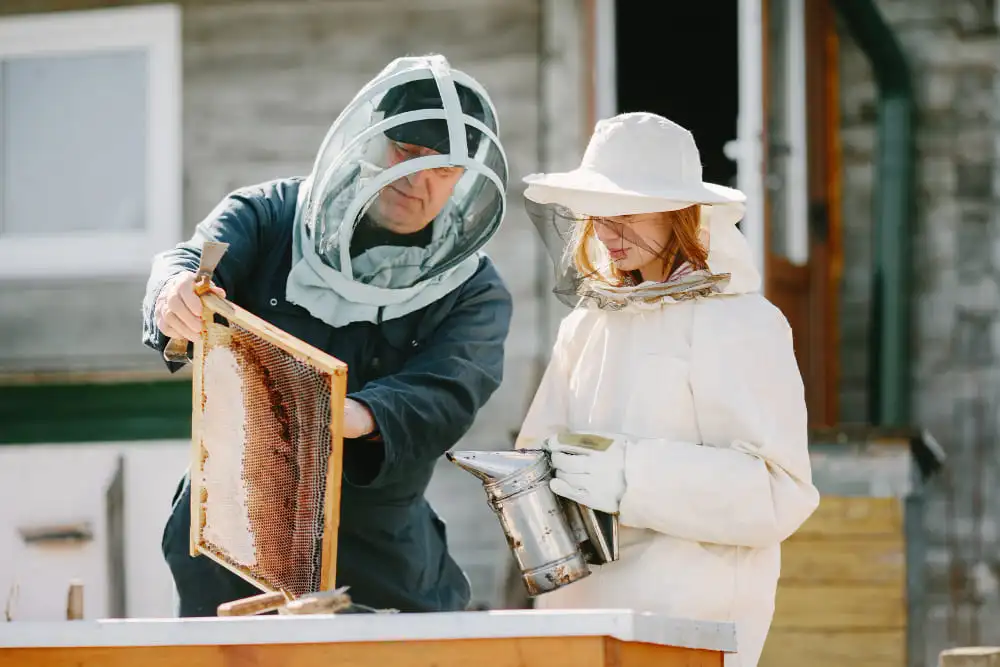 Family-Owned Beekeeping Companies